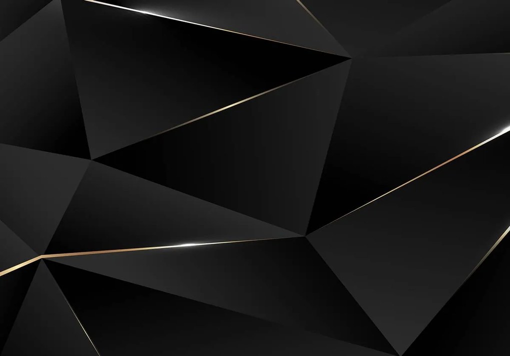 Fototapeta - Čierne geometrické delenie (254x184 cm)