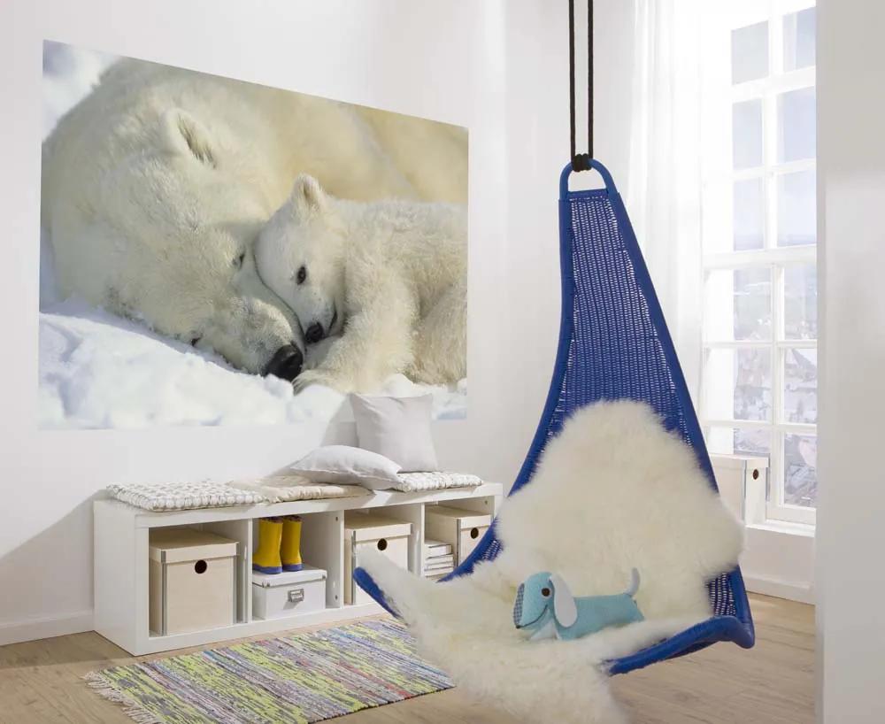 Komar Fototapeta - Polar Bears