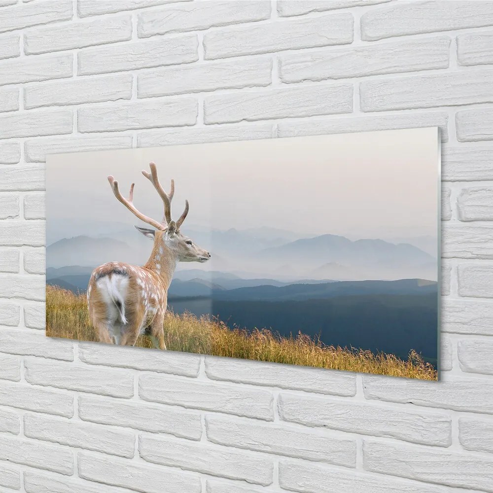 Sklenený obraz jeleň hory 100x50 cm