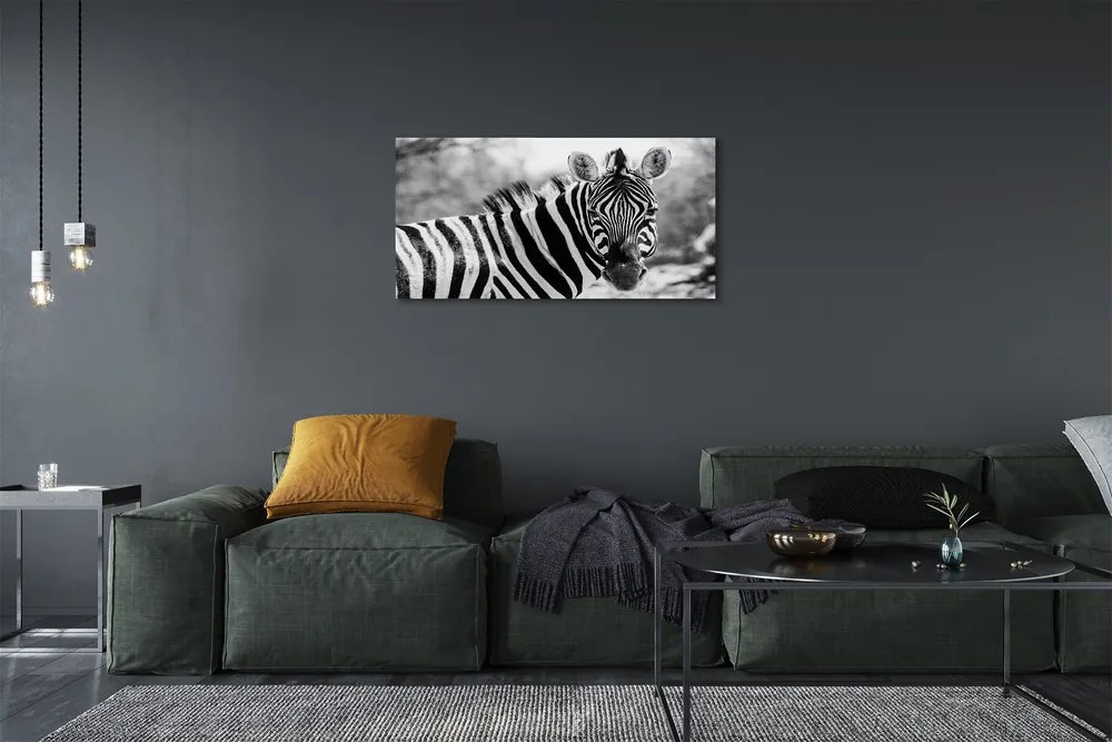 Obraz na plátne retro zebra 120x60 cm