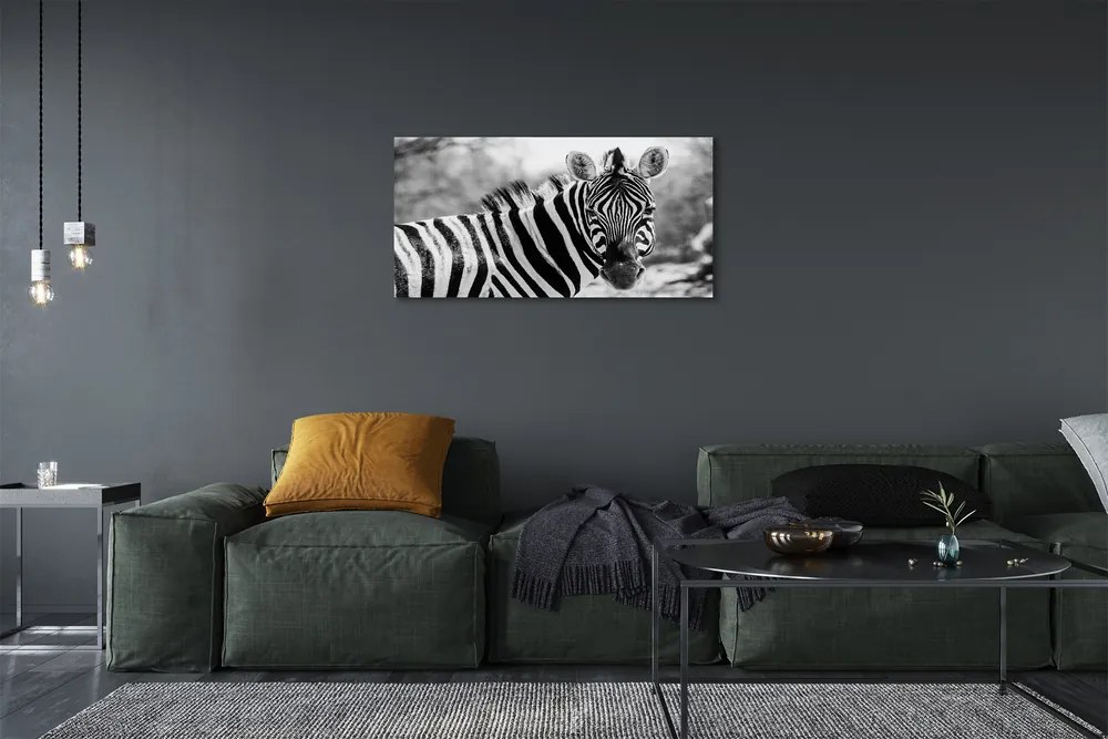 Obraz na plátne retro zebra 125x50 cm