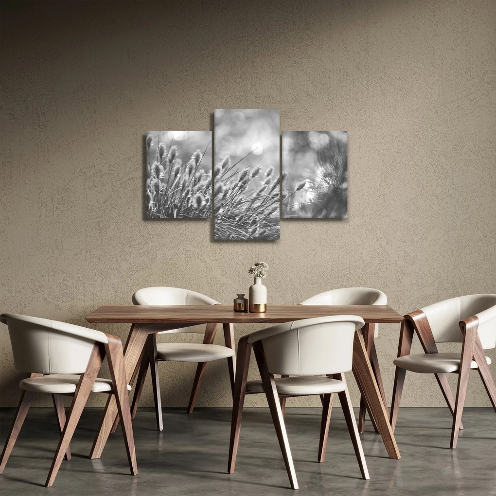 Obraz - Béžová soft grass N⁰1 (90x60 cm)