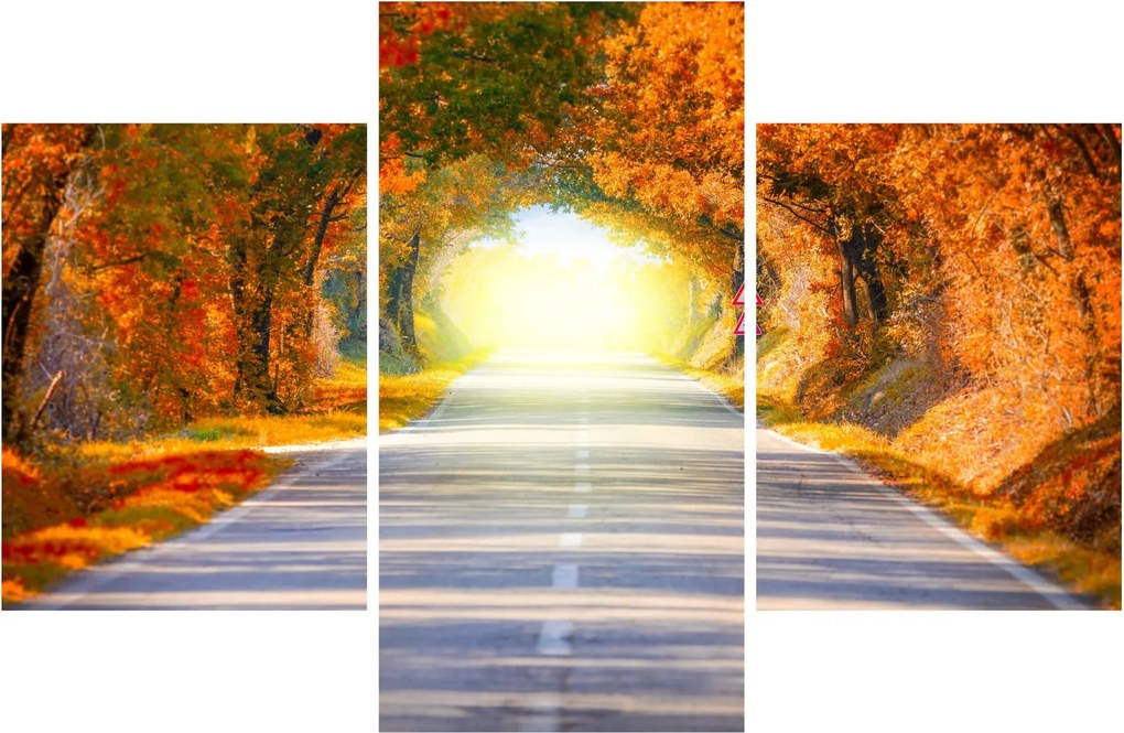 Obraz - Brána z korún stromov (90x60 cm)