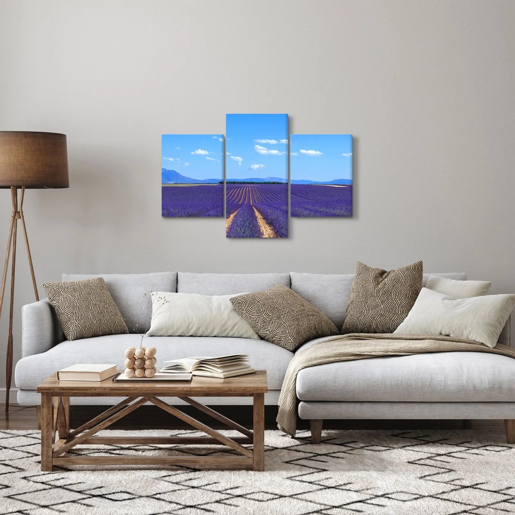 Obraz - Levanduľové pole (90x60 cm)