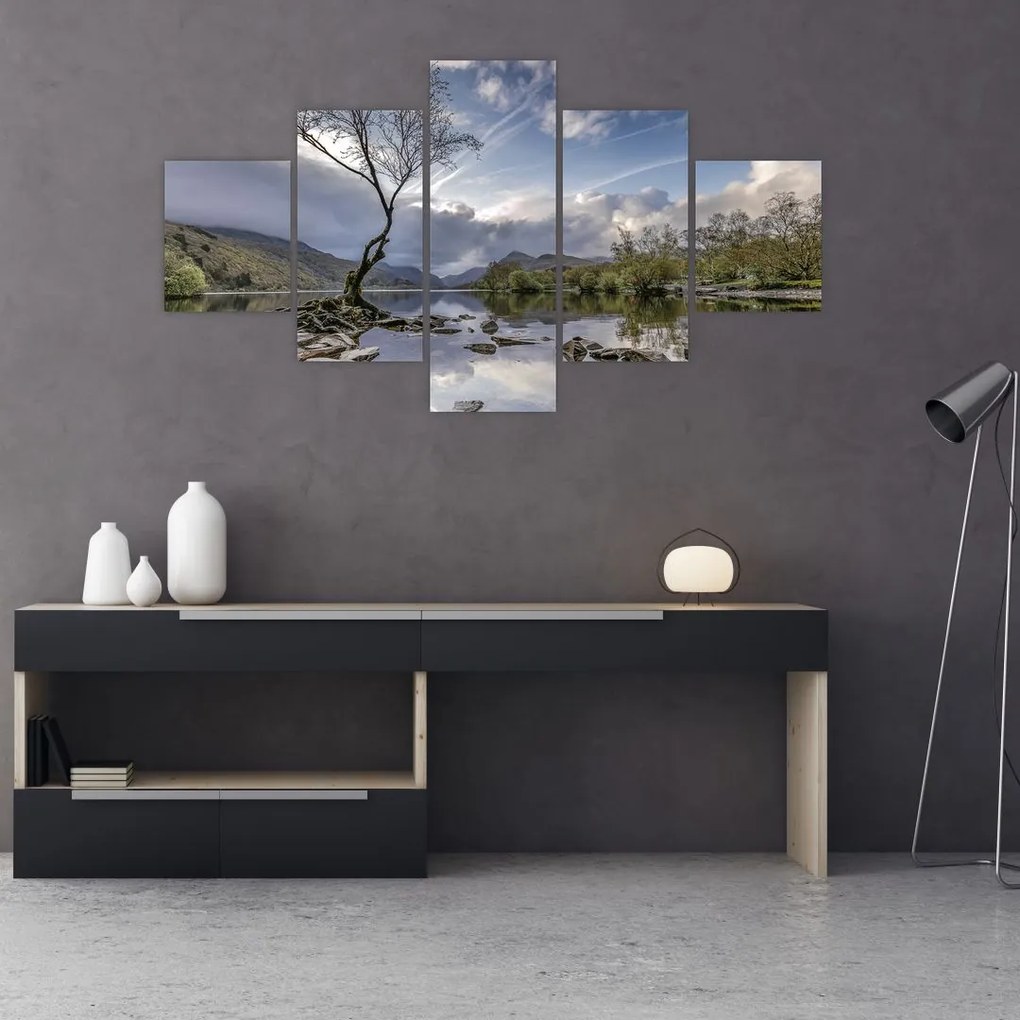Obraz rieky za stromom (125x70 cm), 40 ďalších rozmerov