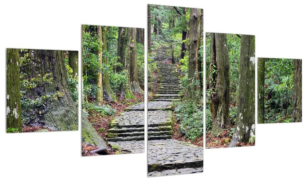 Obraz kamenných schodov v lese (K014268K12570)