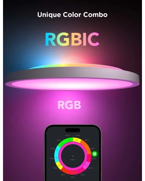 Govee - LED RGBICWW stmievateľné stropné svietidlo LED/29W/230V pr. 30 cm matné Wi-Fi