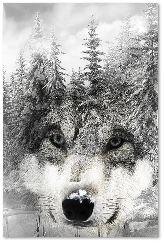 Gario Obraz na plátne Vlk v zimnej scenérii Rozmery: 40 x 60 cm