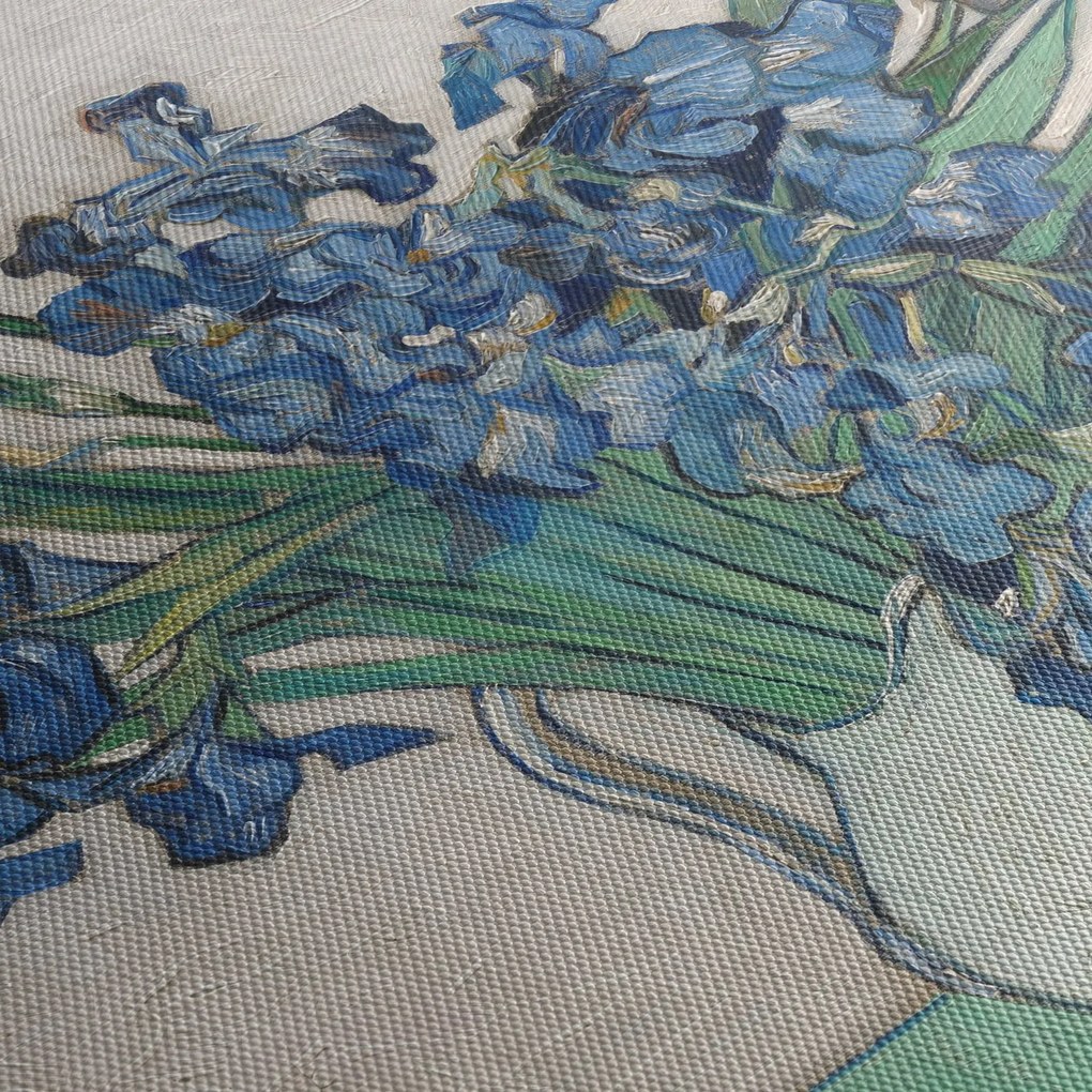 Obraz - Vincent van Gogh, Irises, reprodukcia (90x60 cm)
