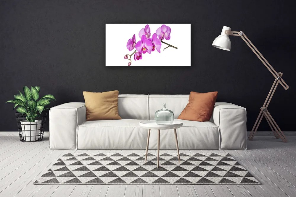 Obraz Canvas Vstavač orchidea kvety 100x50 cm