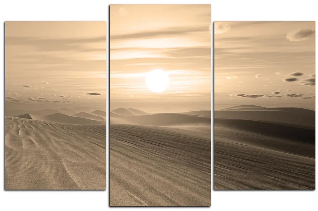 Obraz na plátne - Púštny západ slnka 1917FC (105x70 cm)