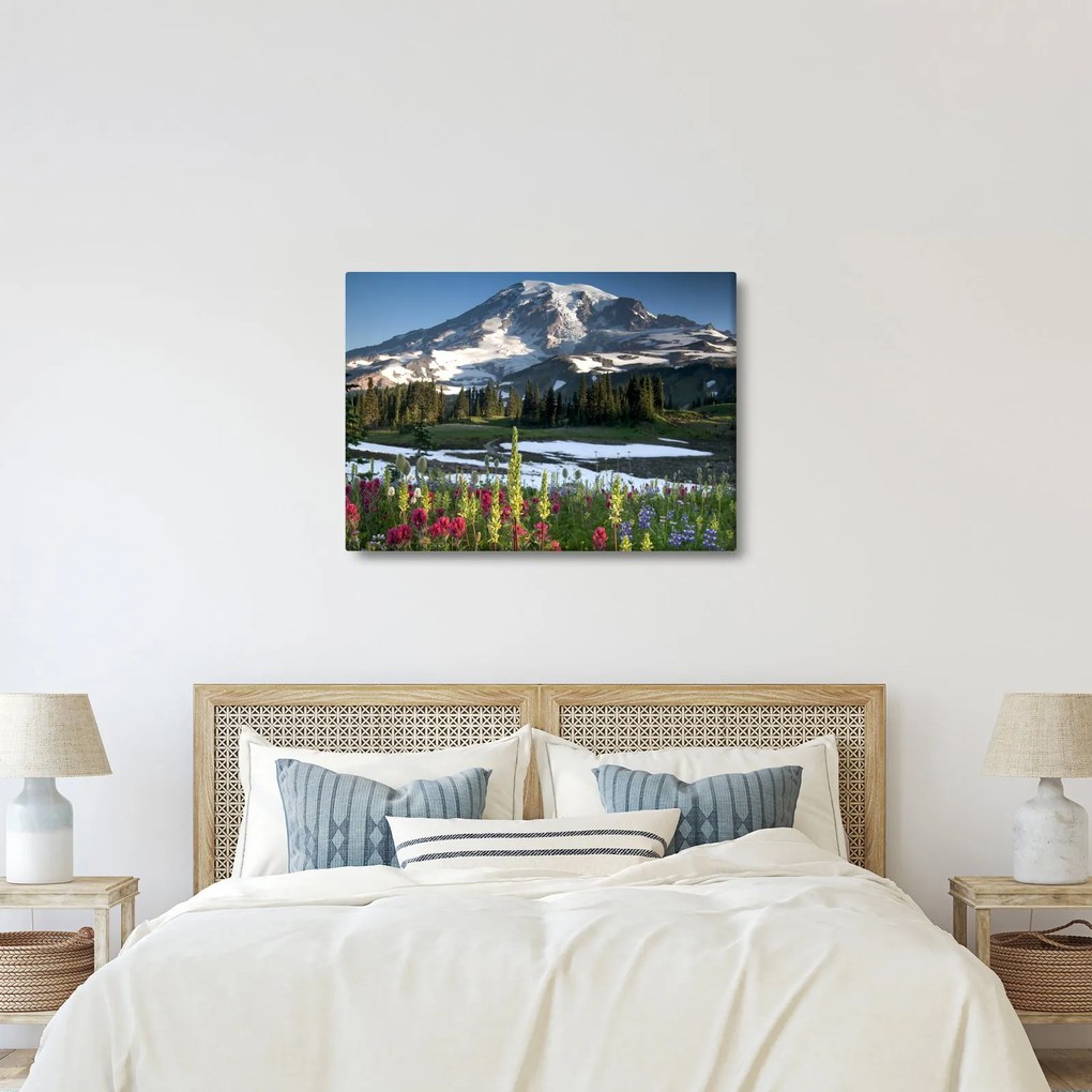 Obraz - Mount Rainier (70x50 cm)