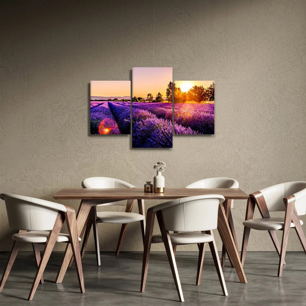 Obraz levanduľového poľa (90x60 cm)