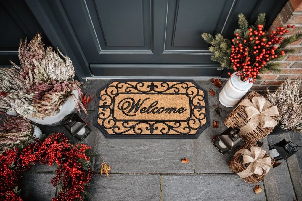 Hanse Home, Rohožka Welcome 105713 – na von aj na doma, 45x75, hnedá, chodba / predsieň