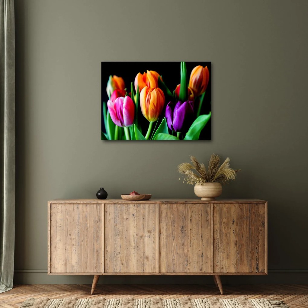Obraz tulipánov na čiernom pozadí (70x50 cm)