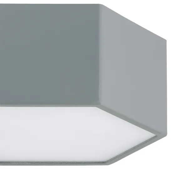 Argon 8784 - LED Stropné svietidlo LIBERO LED/12W/230V 3000K šedá