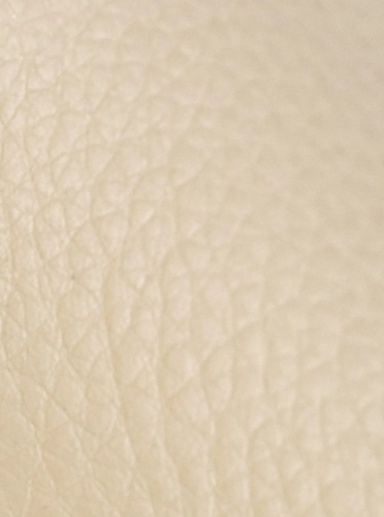 Stolička Foley - koženka, drevené nohy orech - Krémová