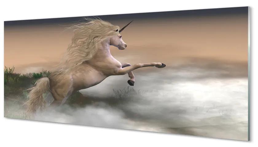 Obraz plexi Unicorn mraky 120x60 cm