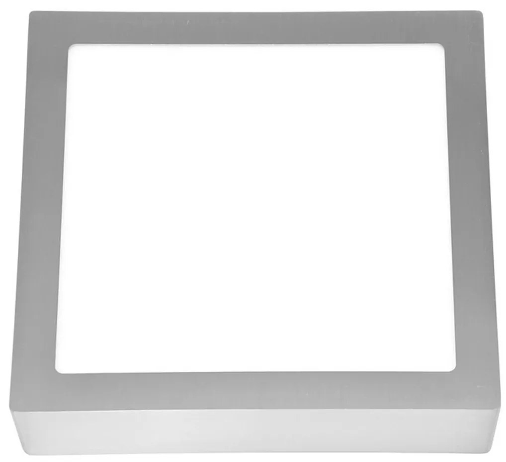 Ecolite LED Stropné svietidlo RAFA LED/25W/230V 4100K EC0246