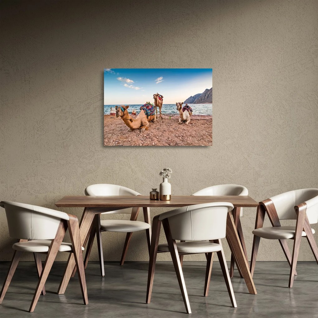 Sklenený obraz tiav (70x50 cm)