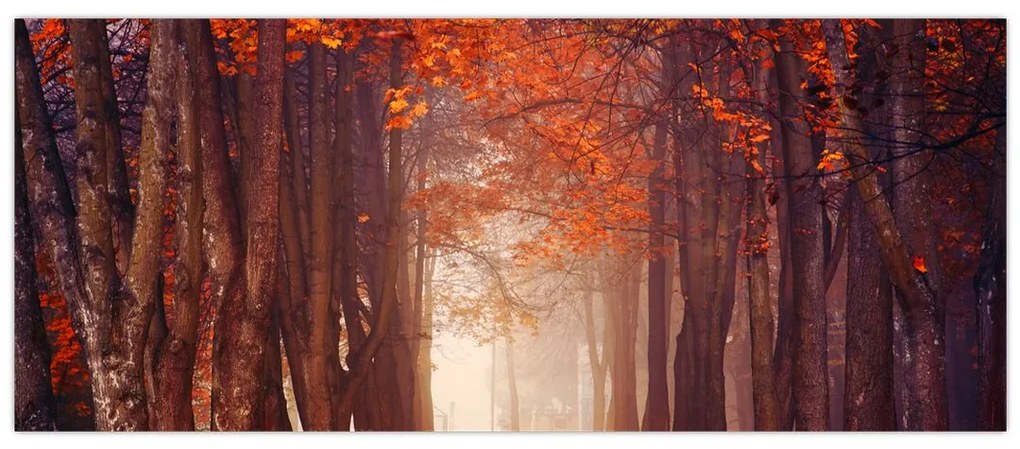 Obraz - Jesenné les (120x50 cm)