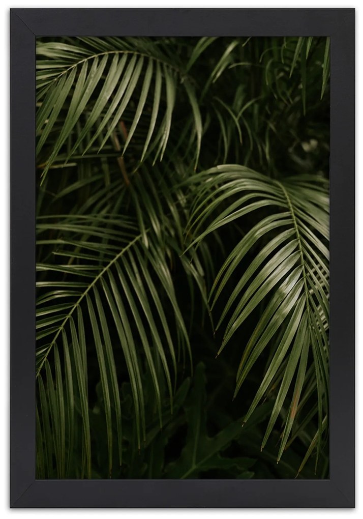 Gario Plagát Exotické palmové listy Farba rámu: Bez rámu, Rozmery: 30 x 45 cm