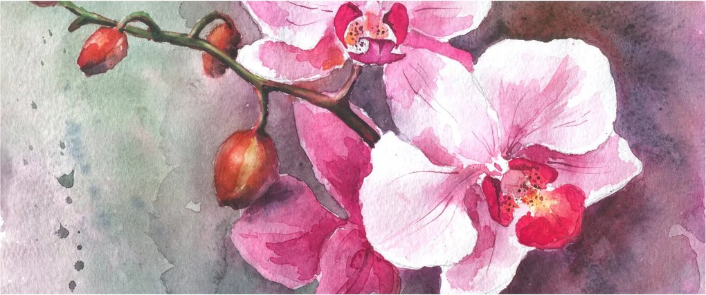 Obraz - Orchidey, aquarel (120x50 cm)