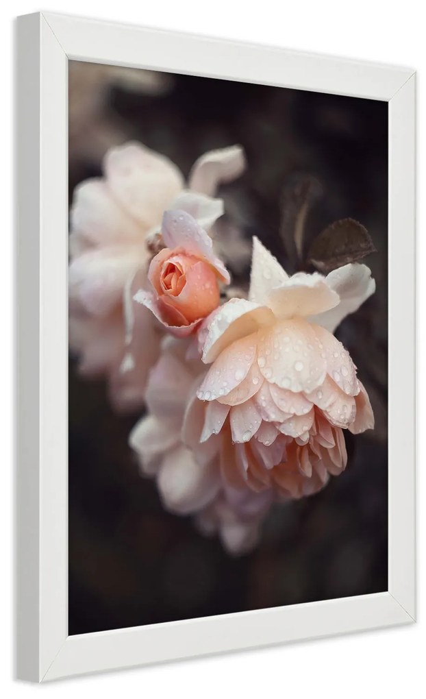 Gario Plagát Makro fotografovanie kvetov Farba rámu: Bez rámu, Rozmery: 30 x 45 cm