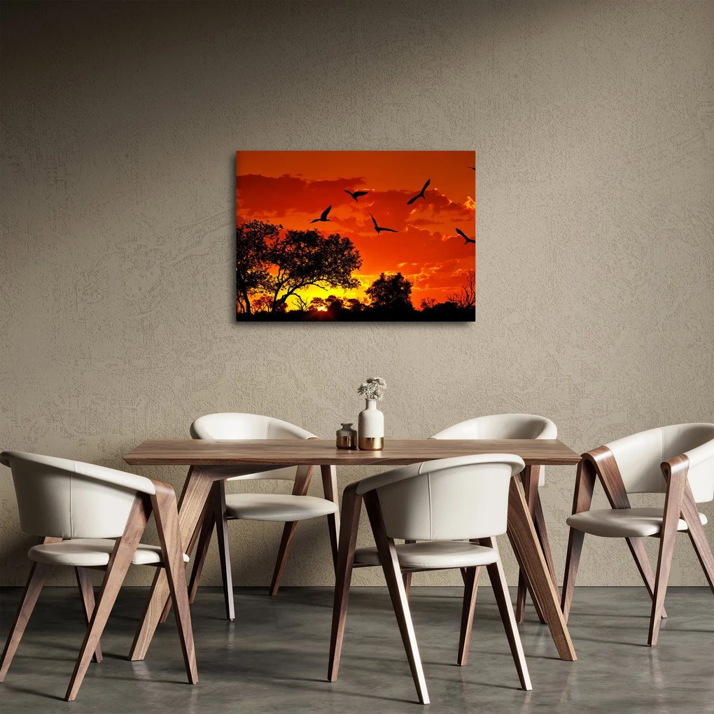 Obraz vtákov pri západe slnka (70x50 cm)