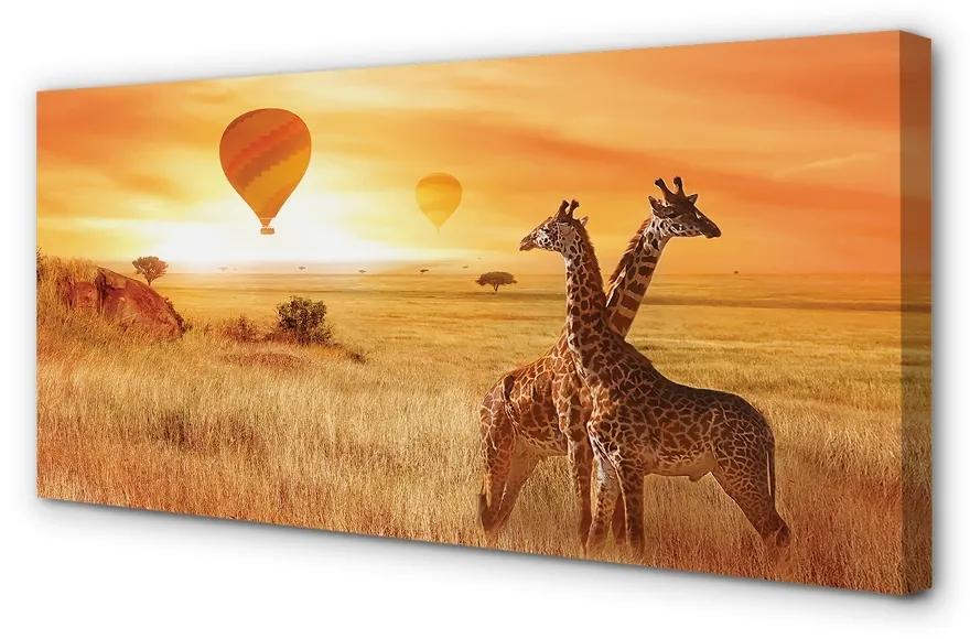 Obraz canvas Balóny neba žirafa 125x50 cm