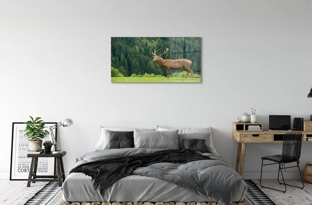 Sklenený obraz Jeleň v poli 140x70 cm