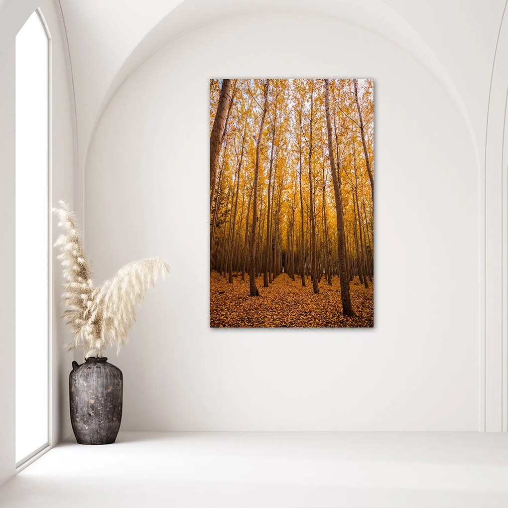 Gario Plagát Zlatý les na jeseň Farba rámu: Čierna, Rozmery: 20 x 30 cm