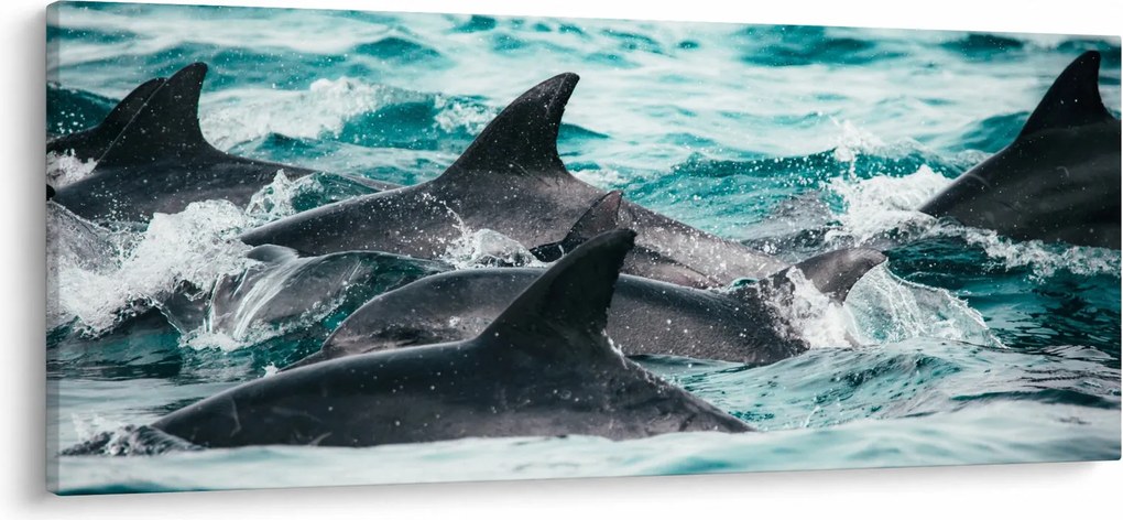 Obraz - Delfíny v oceáne (120x50 cm)