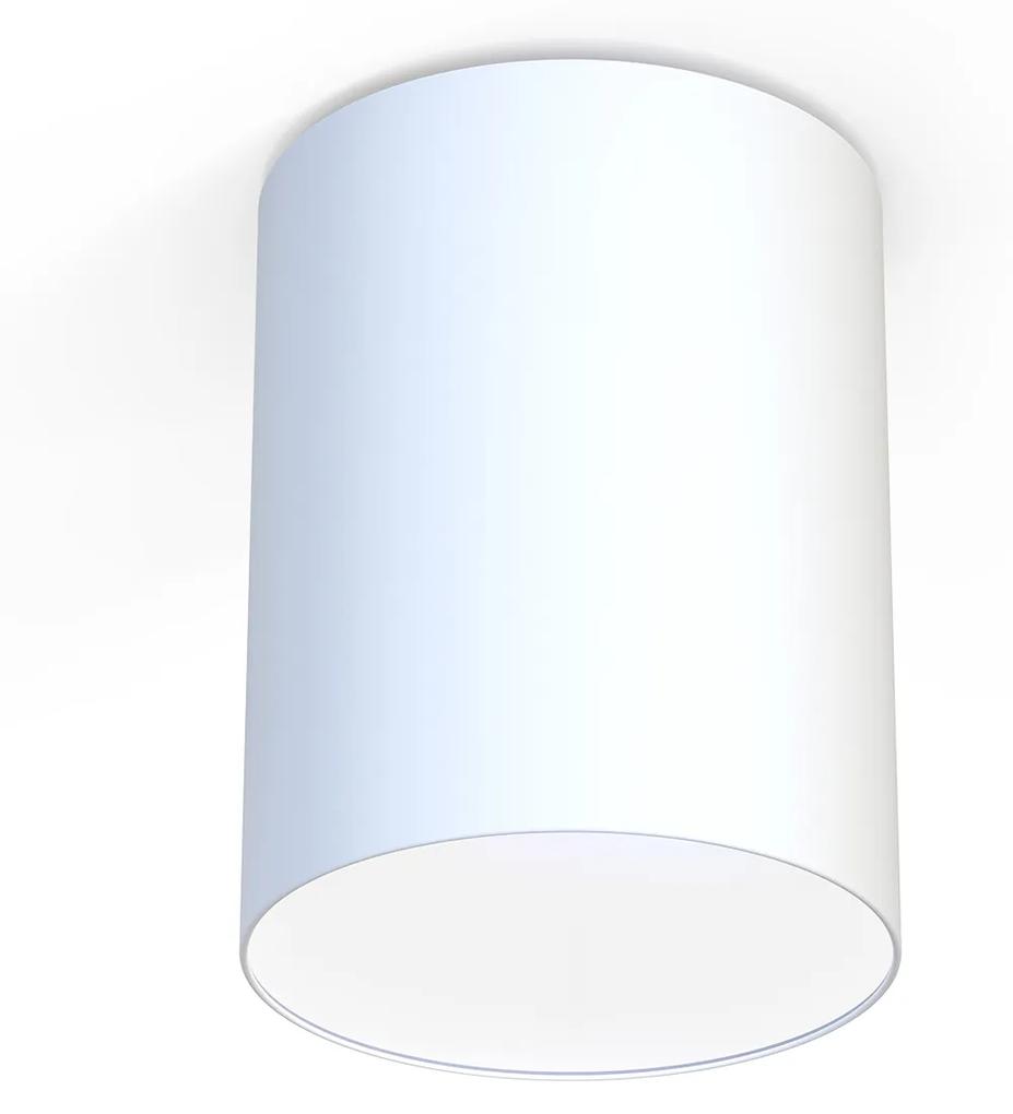 CAMERON WHITE I 9685 | prisadená stropná lampa ø=30 cm