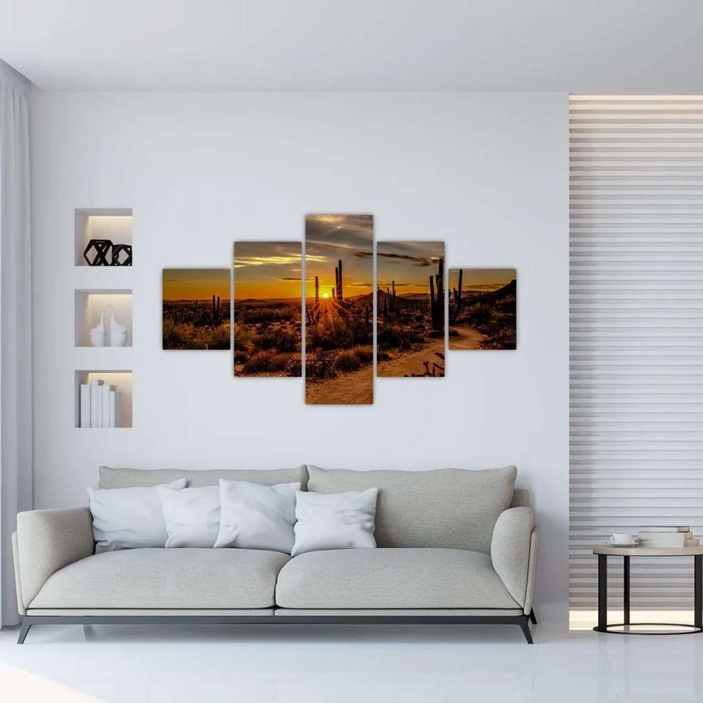 Obraz - Koniec dňa v arizonskej púšti (125x70 cm), 40 ďalších rozmerov