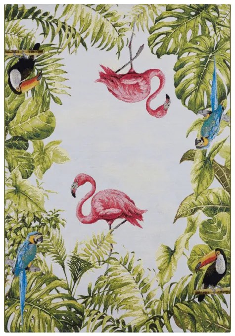Koberec Hanse Home Flair Tropical Birds viacfarebný