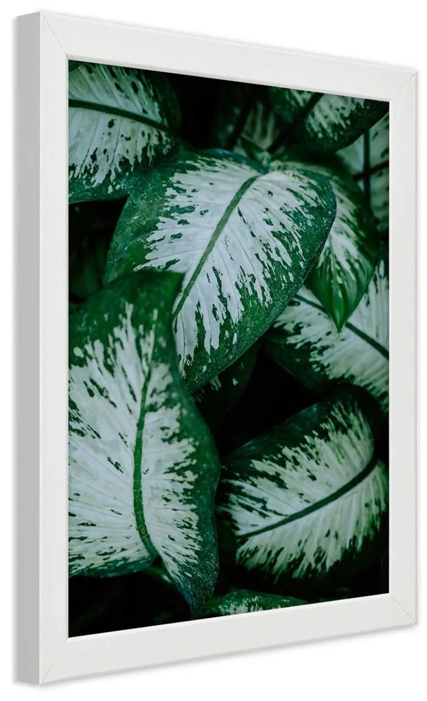 Gario Plagát Zelené tropické rastliny Farba rámu: Bez rámu, Rozmery: 40 x 60 cm