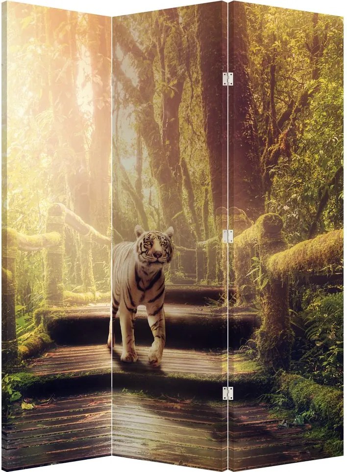 Paraván - Tiger v džungli (126x170 cm)