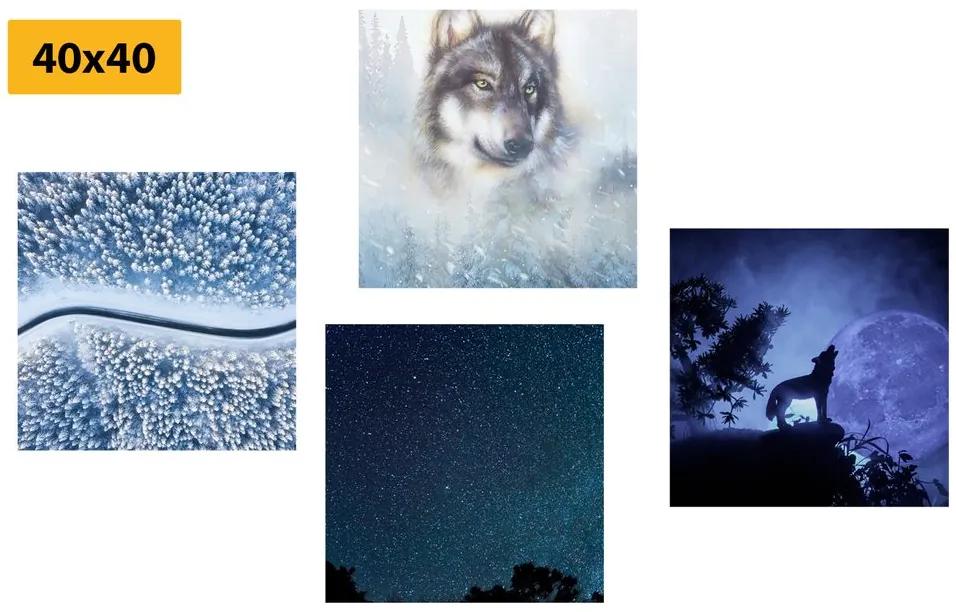 Set obrazov vlk samotár