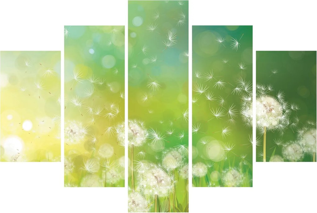 Obraz - Odkvitnuté púpavy (150x105 cm)