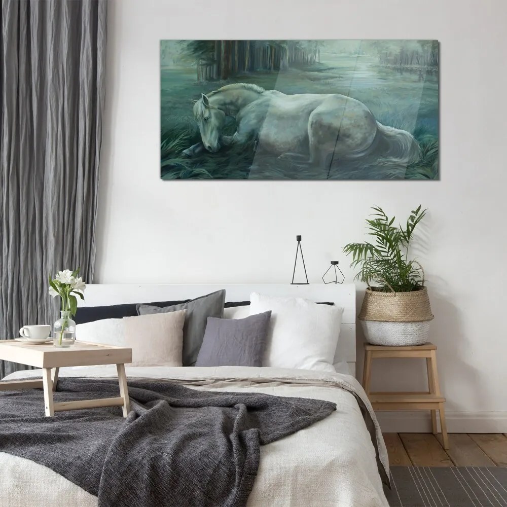 Skleneny obraz Lesné kone voľne žijúcich živočíchov