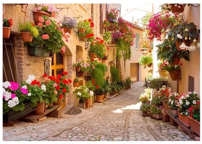 Fototapeta - The Alley in Spello (Italy) Veľkosť: 100x70, Verzia: Standard