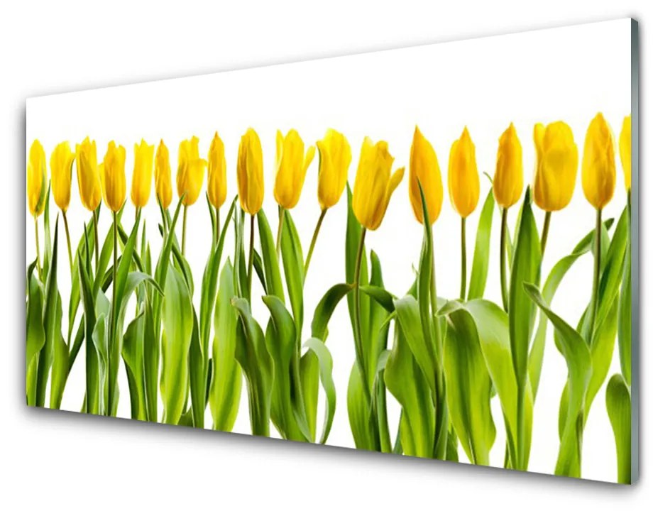 Obraz plexi Tulipány kvety príroda 100x50 cm