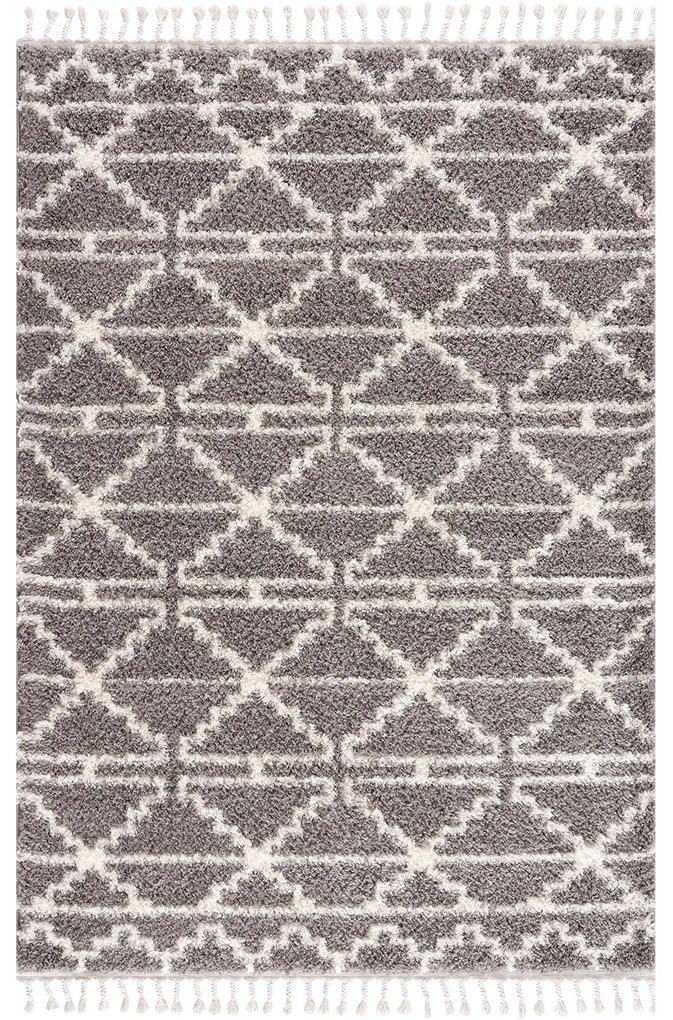 Dekorstudio Shaggy koberec s dlhým vlasom PULPY 530 sivý Rozmer koberca: 140x200cm