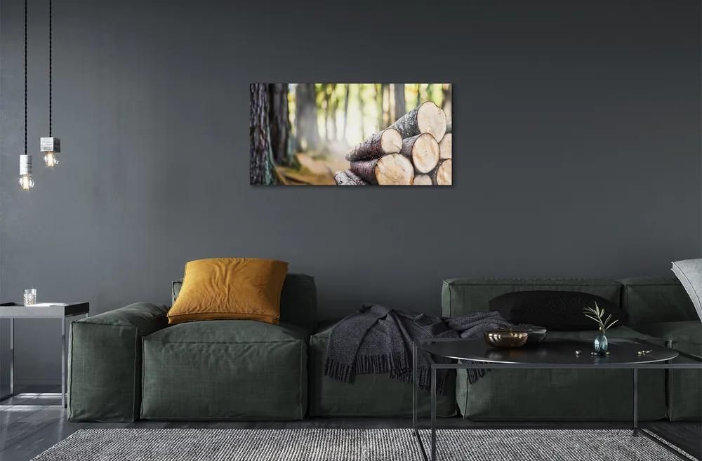 Obraz na skle Drevo prales prírode 120x60 cm