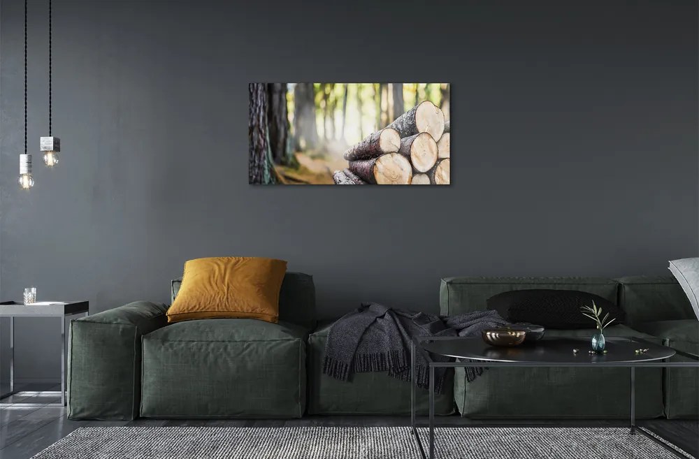 Obraz na skle Drevo prales prírode 125x50 cm