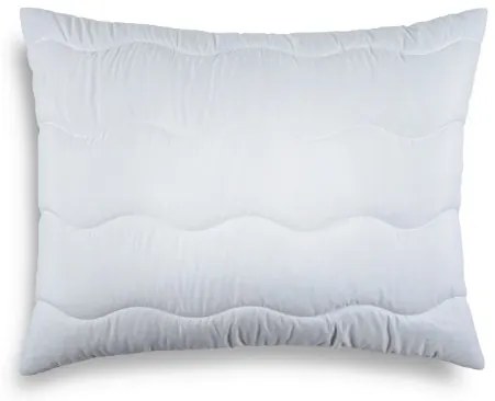 Vankúš s Aloe Vera – prírodný, hypoalergénny, prateľný, ideálny na zdravý spánok Veľkosť: 40x80 cm