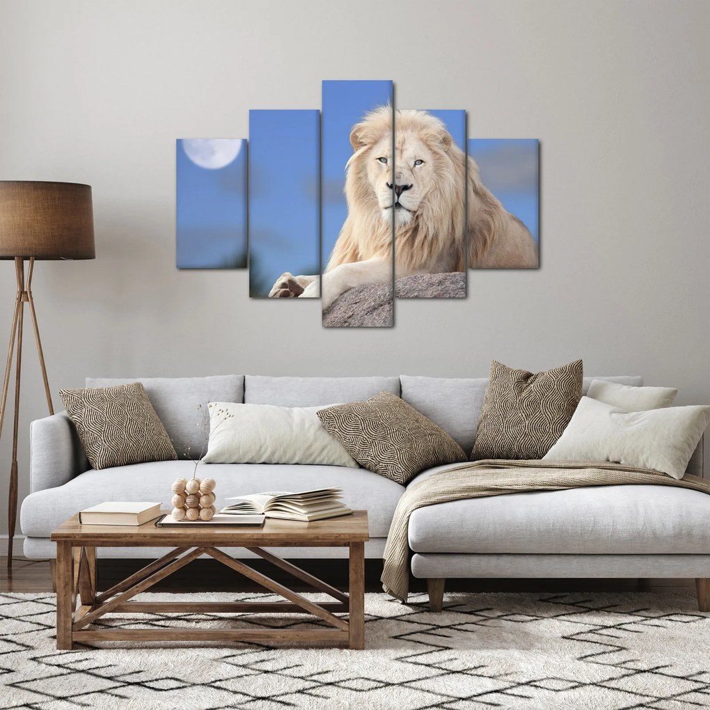 Obraz - Biely lev (150x105 cm)