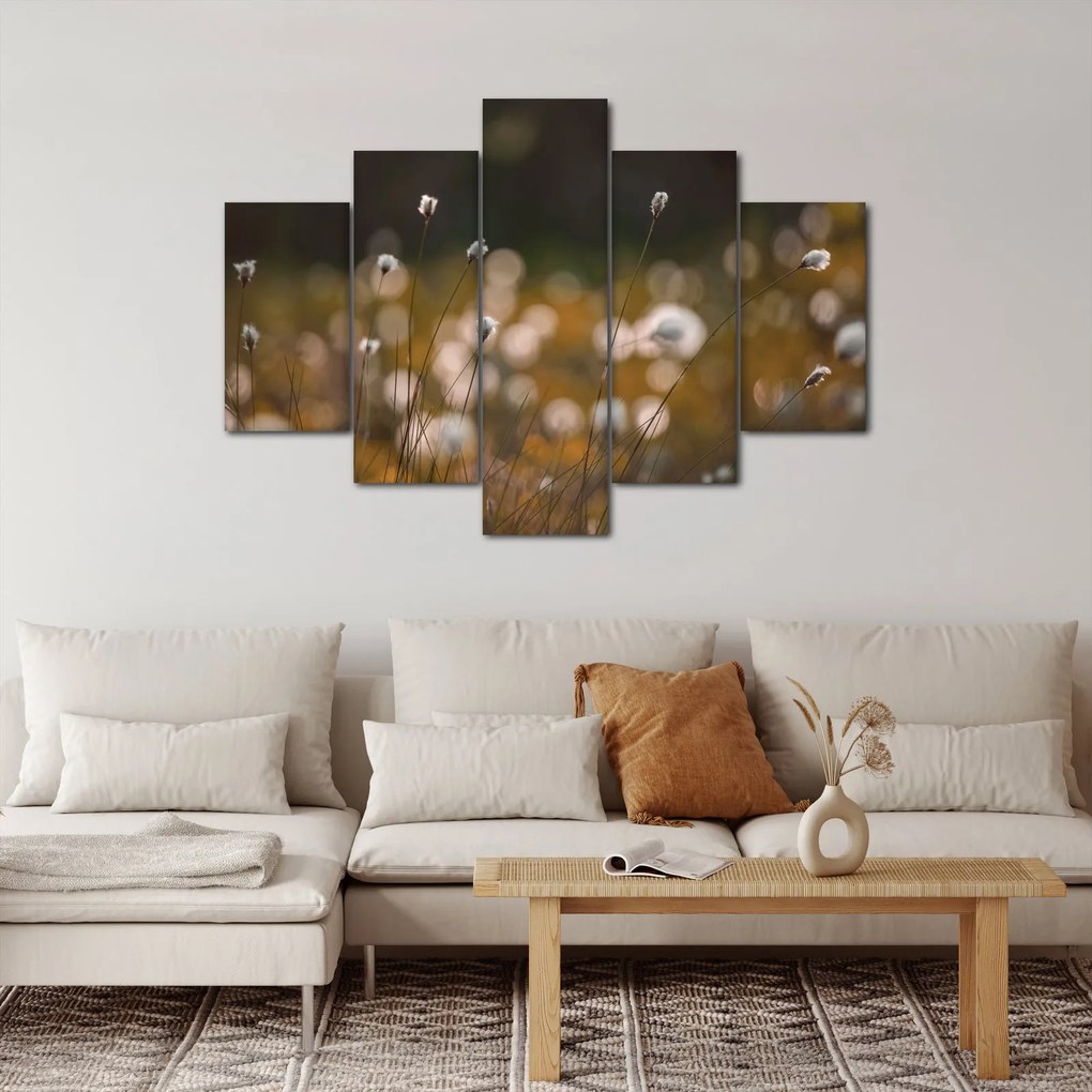 Obraz - Lúka s cottongrass N⁰2 (150x105 cm)