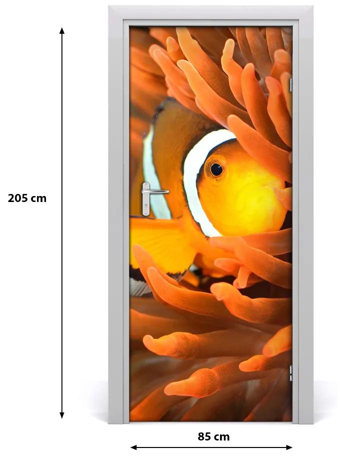 Fototapeta samolepiace na dvere bláznivá ryba 85x205 cm